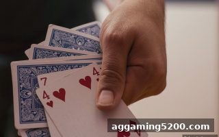 番摊玩法全解析：捕鱼达人网页版玩家也能轻松上手的概率游戏