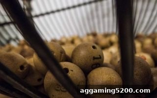 捕鱼达人网页版策略启示：如何将组合与分散投注用于WPT扑克及彩票？