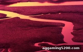 捕鱼达人网页版彩票攻略：和值分析技巧助你玩转MG电子