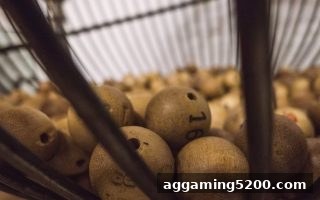 利澳彩票与捕鱼达人网页版：数字娱乐经济影响的多维透视