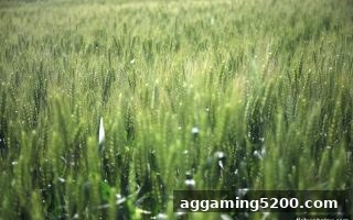 捕鱼达人网页版：银行卡充值返利活动全解析与实战指南