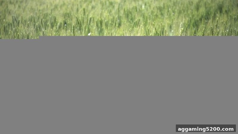 捕鱼达人网页版：银行卡充值返利活动全解析与实战指南