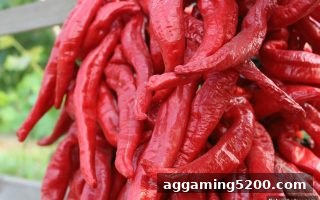 捕鱼达人网页版：游戏平台红包福利领取与高效使用全攻略