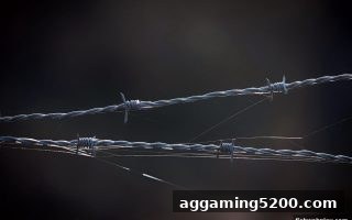 捕鱼达人网页版带来的启示：轮盘平台客户服务评估与免费体验金避坑全攻略